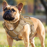 WINGOIN Tactical Dog Harness for Large Dogs, Heavy Duty No Pull Dog Harness with Handle, Adjustable Reflective Military K9 German Shepherd Big Size Dog Vest for Training, Walking, Hiking, Green (L)