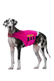 CozyVest® Dog Anxiety Vest 3-in-1 Music & Aromatherapy Shirt, Relaxing Sound & Essential Oils Jacket, Fireworks Thunder Separation & Thunderstorm Canine Stress Relief Coat (Gray, Large [41-64 Lbs])